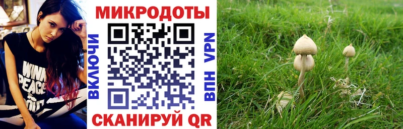MEGA ссылка  Нефтегорск  Псилоцибиновые грибы Magic Shrooms 